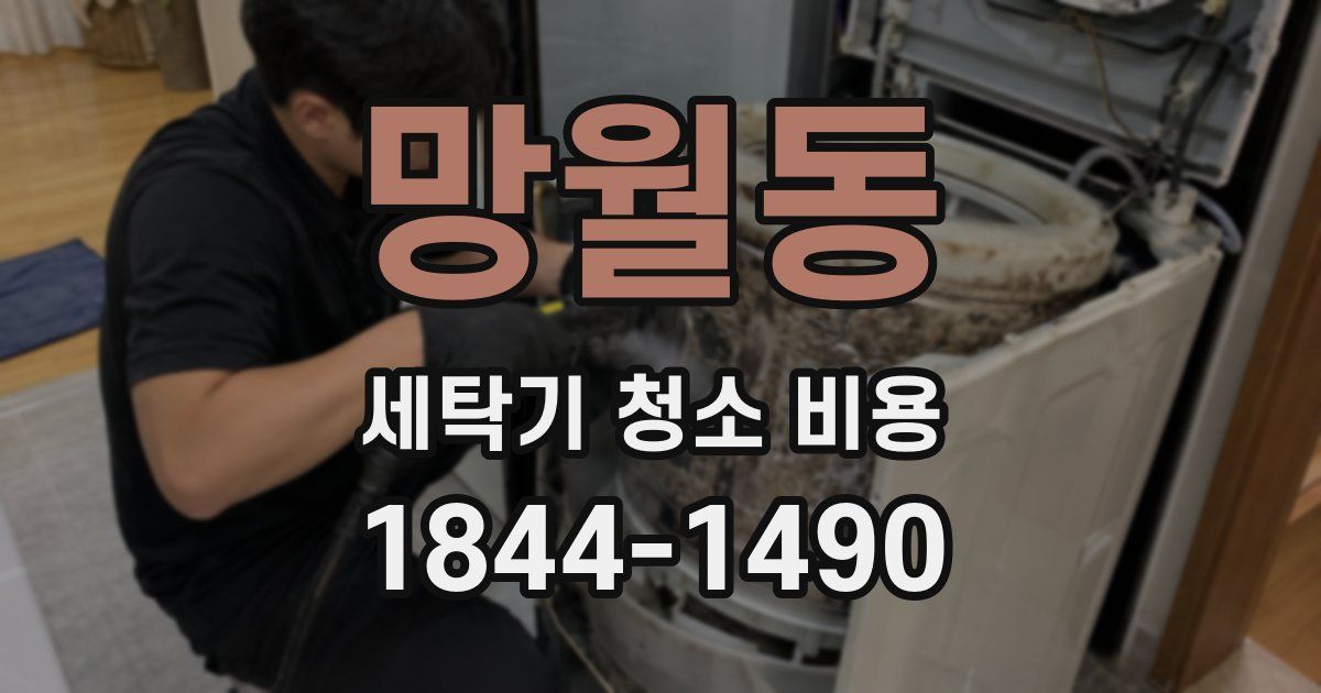 망월동 세탁기 청소 비용
