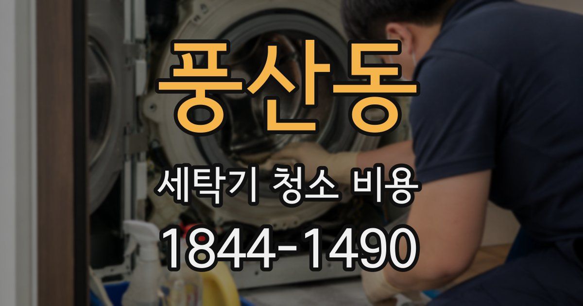 풍산동 세탁기 청소 비용