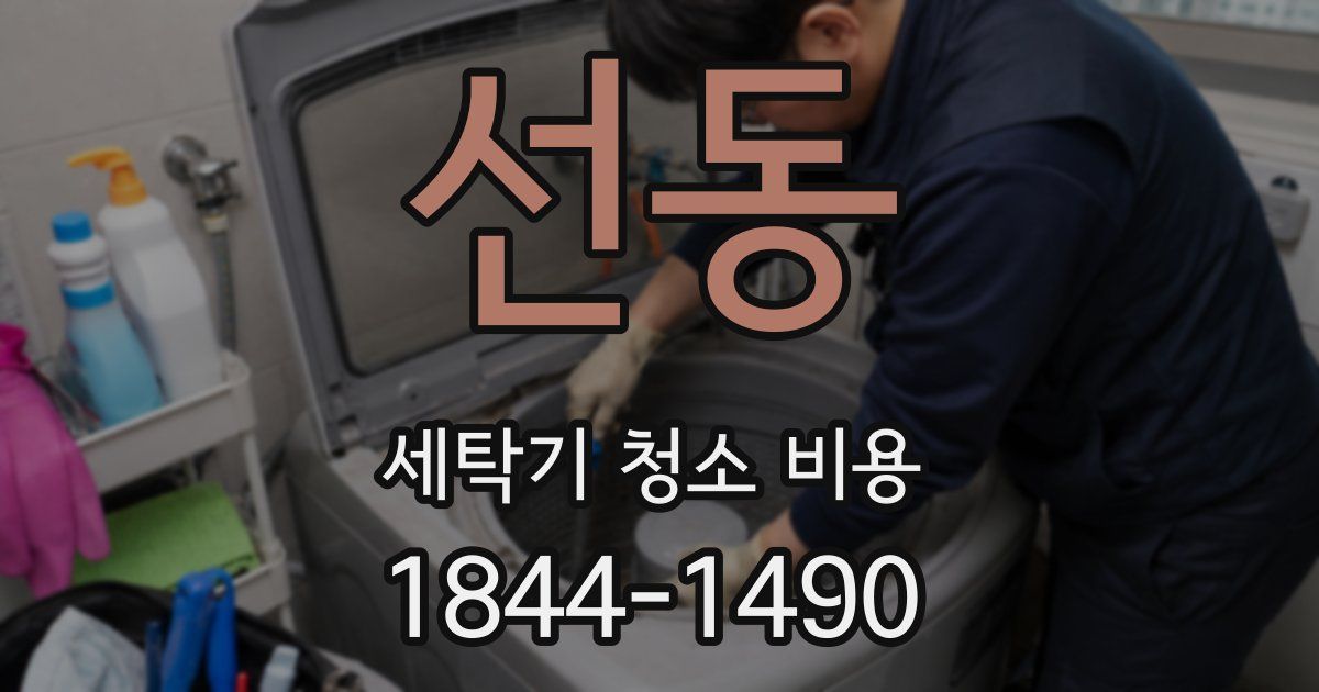 선동 세탁기 청소 비용