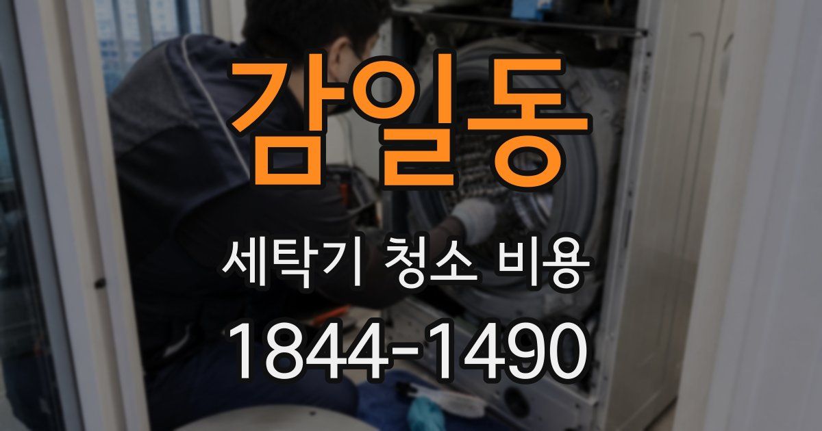 감일동 세탁기 청소 비용