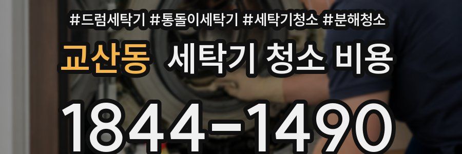 교산동 세탁기 청소 비용