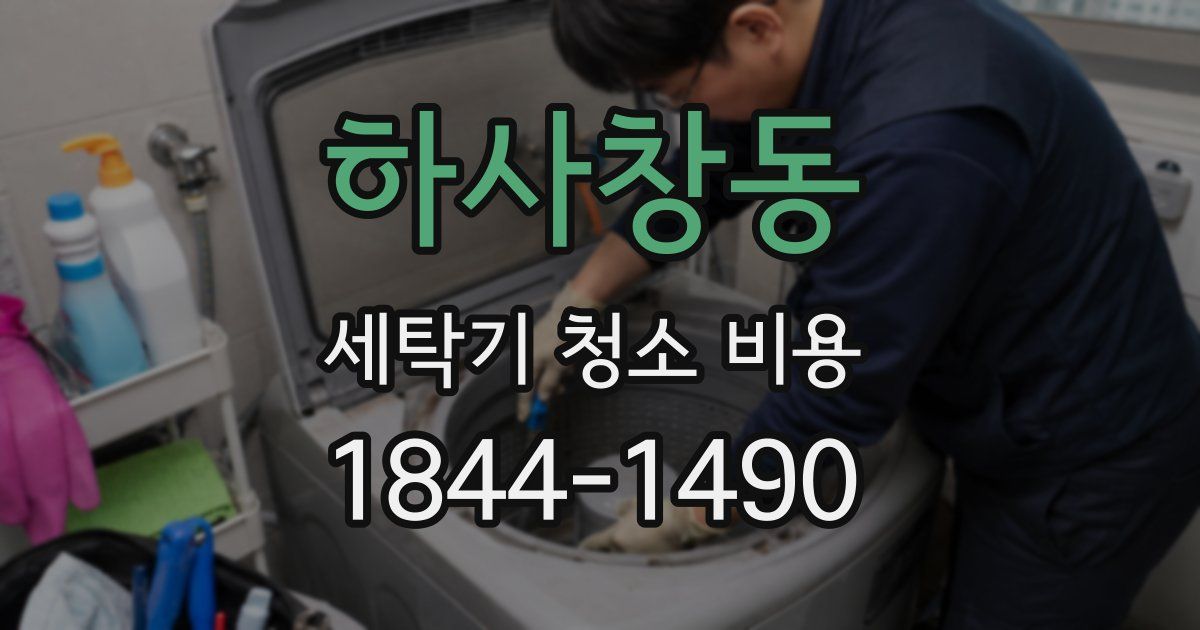 하사창동 세탁기 청소 비용