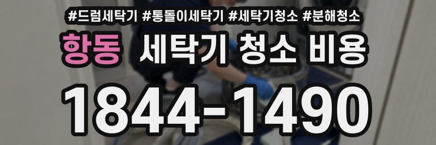 항동 세탁기 청소 비용
