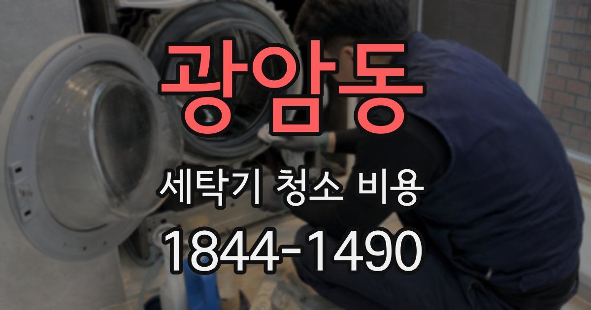 광암동 세탁기 청소 비용