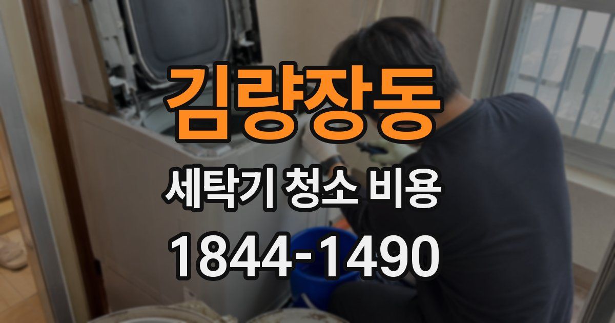 김량장동 세탁기 청소 비용