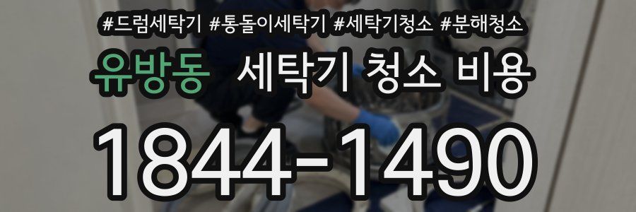 유방동 세탁기 청소 비용