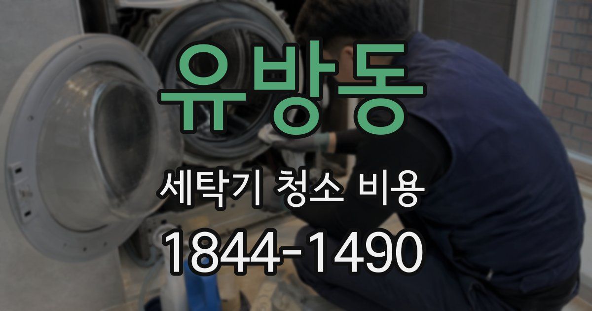 유방동 세탁기 청소 비용