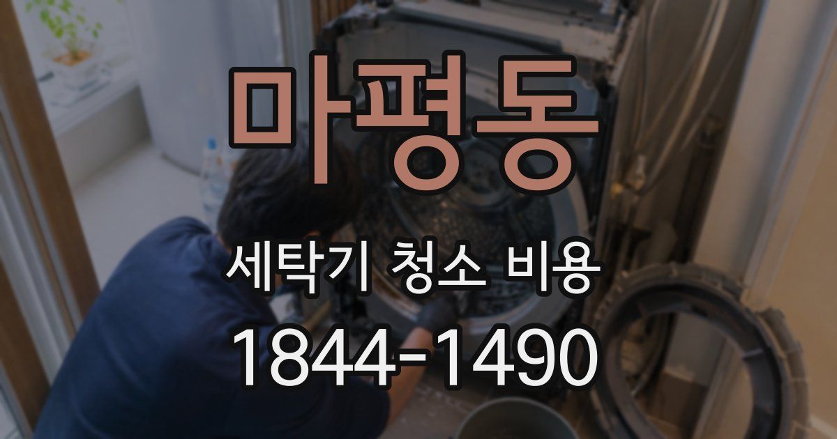 마평동 세탁기 청소 비용