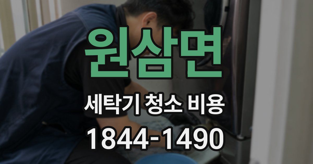 원삼면 세탁기 청소 비용