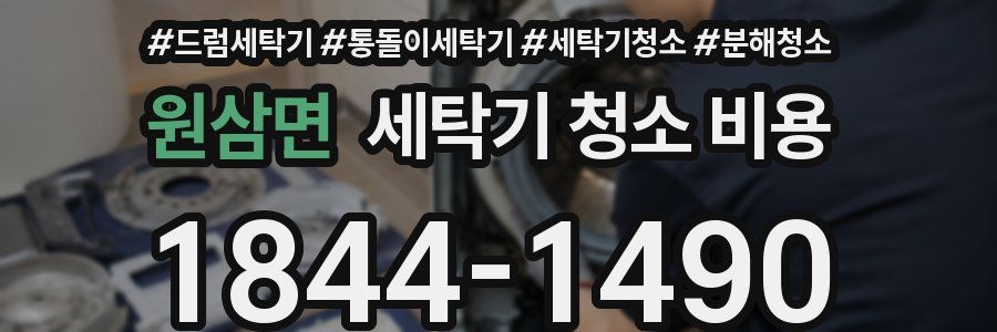원삼면 세탁기 청소 비용