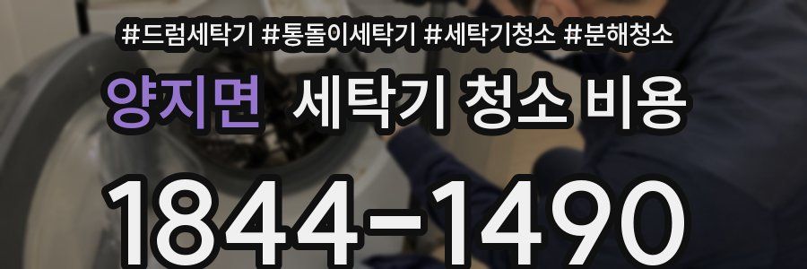 양지면 세탁기 청소 비용