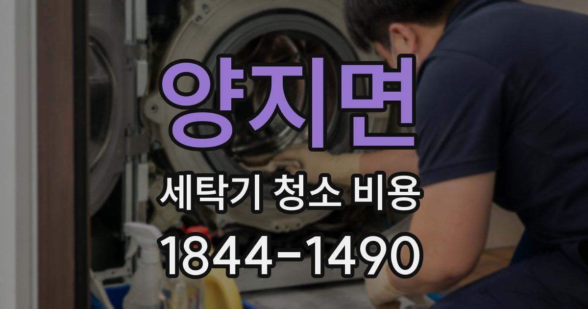 양지면 세탁기 청소 비용