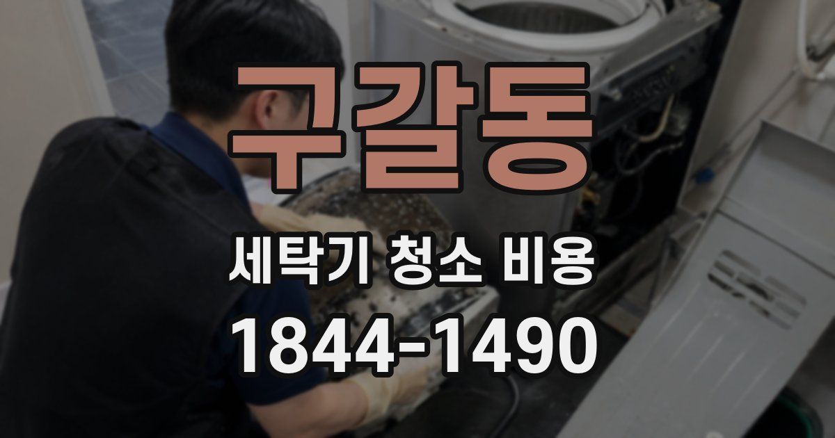 구갈동 세탁기 청소 비용