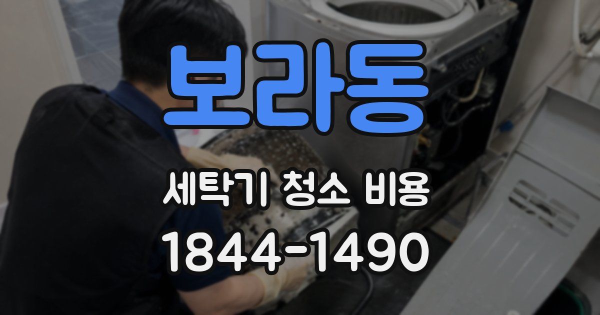 보라동 세탁기 청소 비용