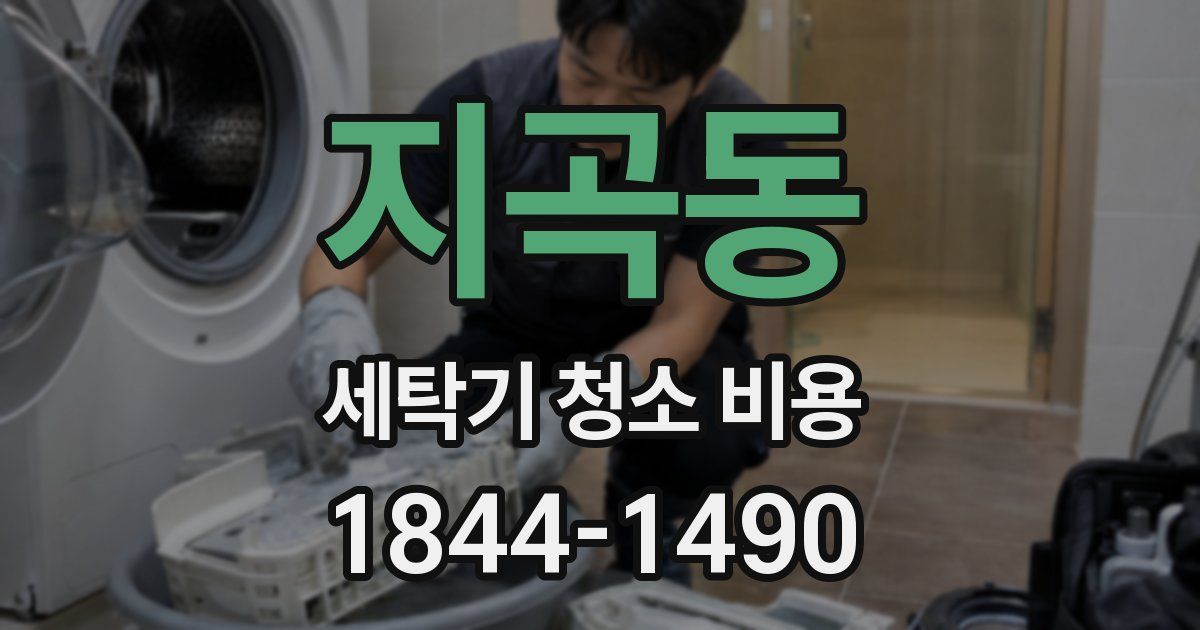 지곡동 세탁기 청소 비용