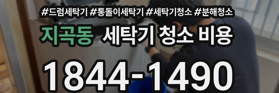 지곡동 세탁기 청소 비용
