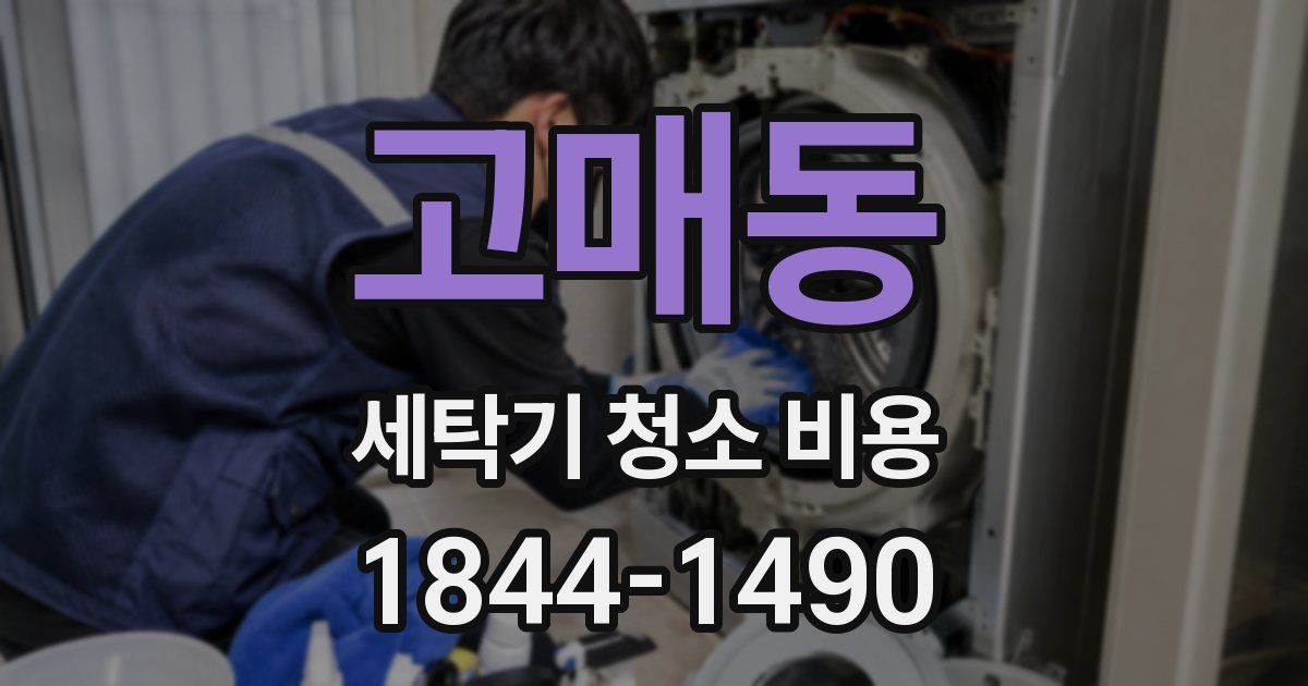 고매동 세탁기 청소 비용