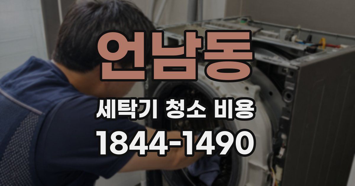 언남동 세탁기 청소 비용