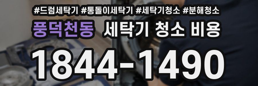 풍덕천동 세탁기 청소 비용