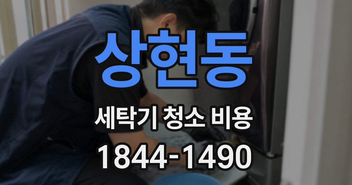상현동 세탁기 청소 비용