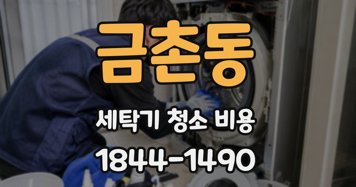 금촌동 세탁기 청소 비용