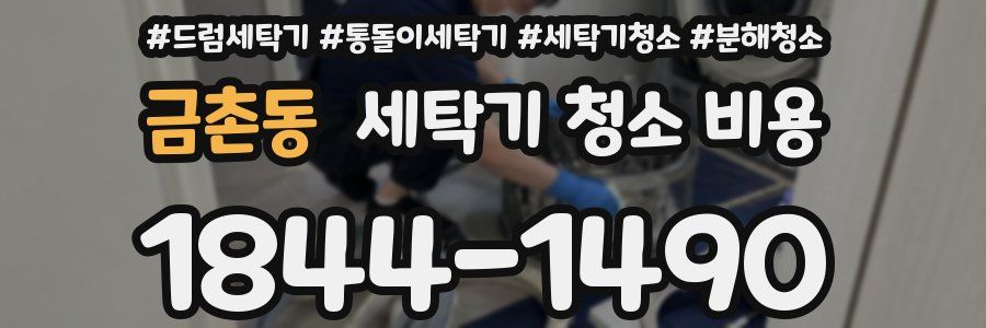 금촌동 세탁기 청소 비용