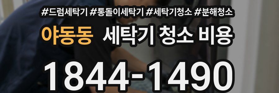 야동동 세탁기 청소 비용