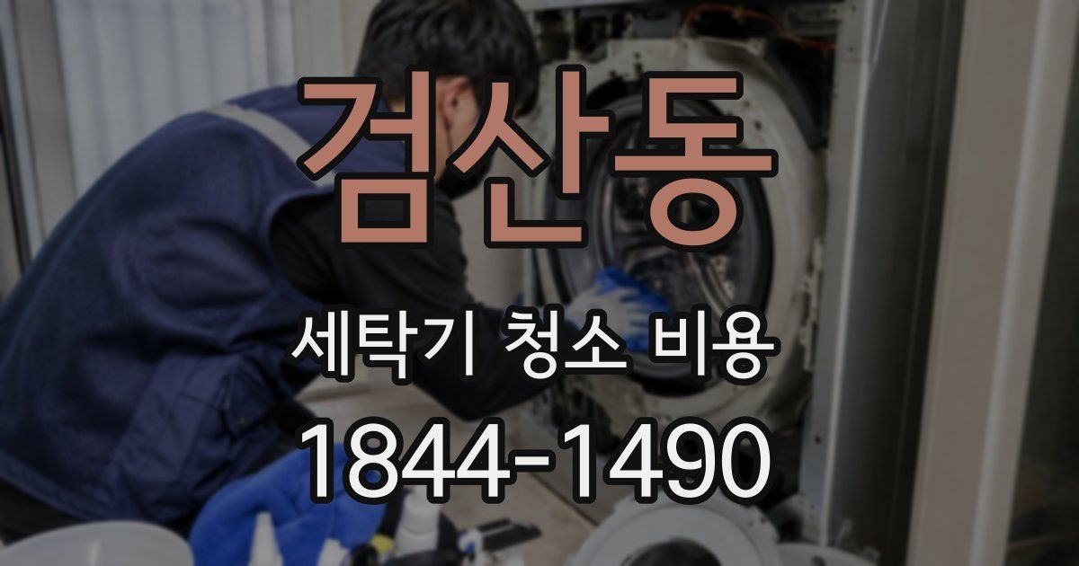 검산동 세탁기 청소 비용