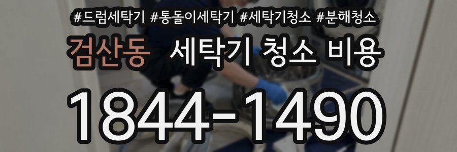 검산동 세탁기 청소 비용