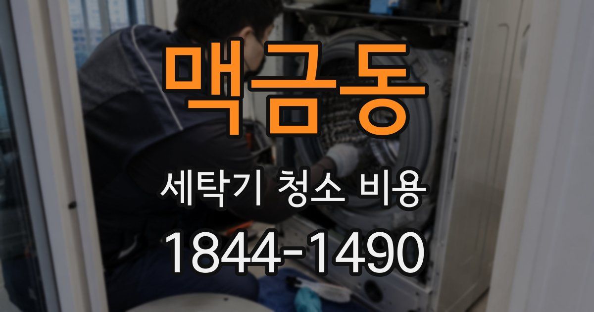 맥금동 세탁기 청소 비용