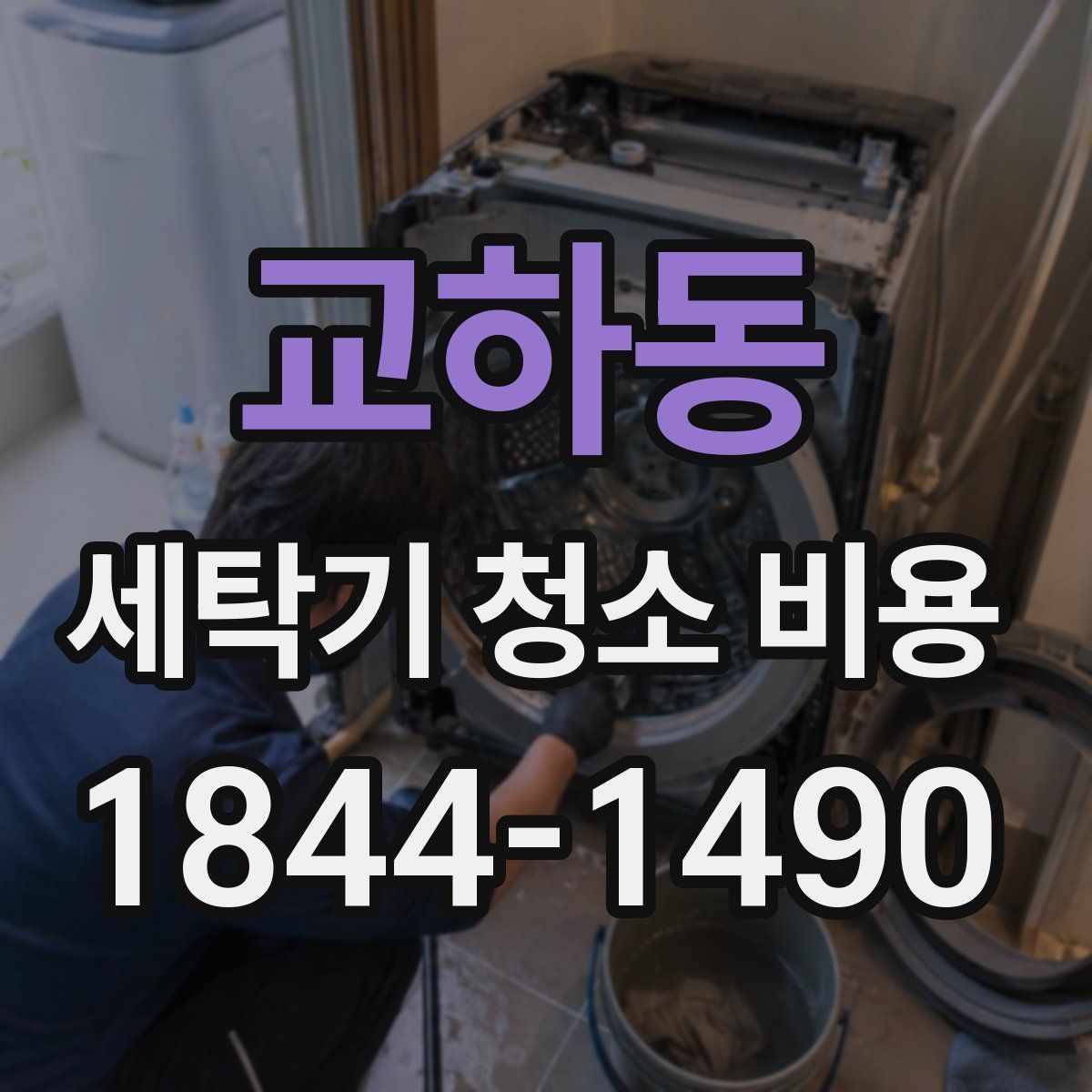 교하동 세탁기 청소 비용