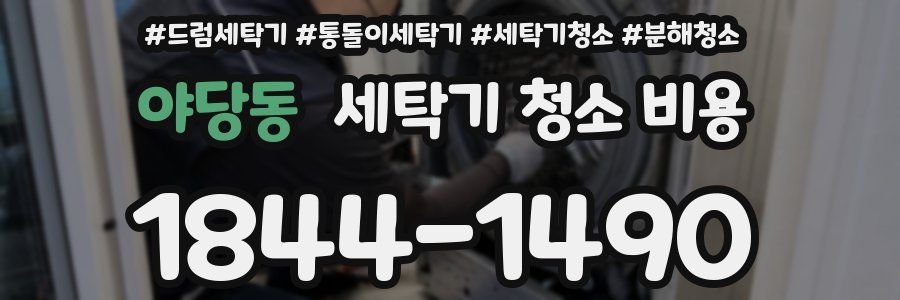 야당동 세탁기 청소 비용