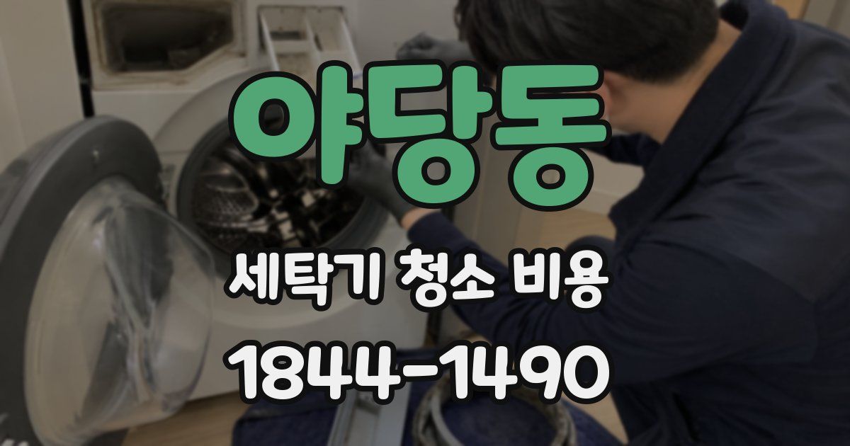 야당동 세탁기 청소 비용
