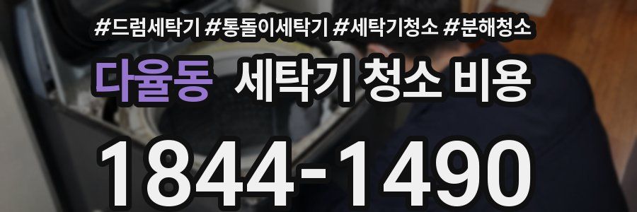 다율동 세탁기 청소 비용