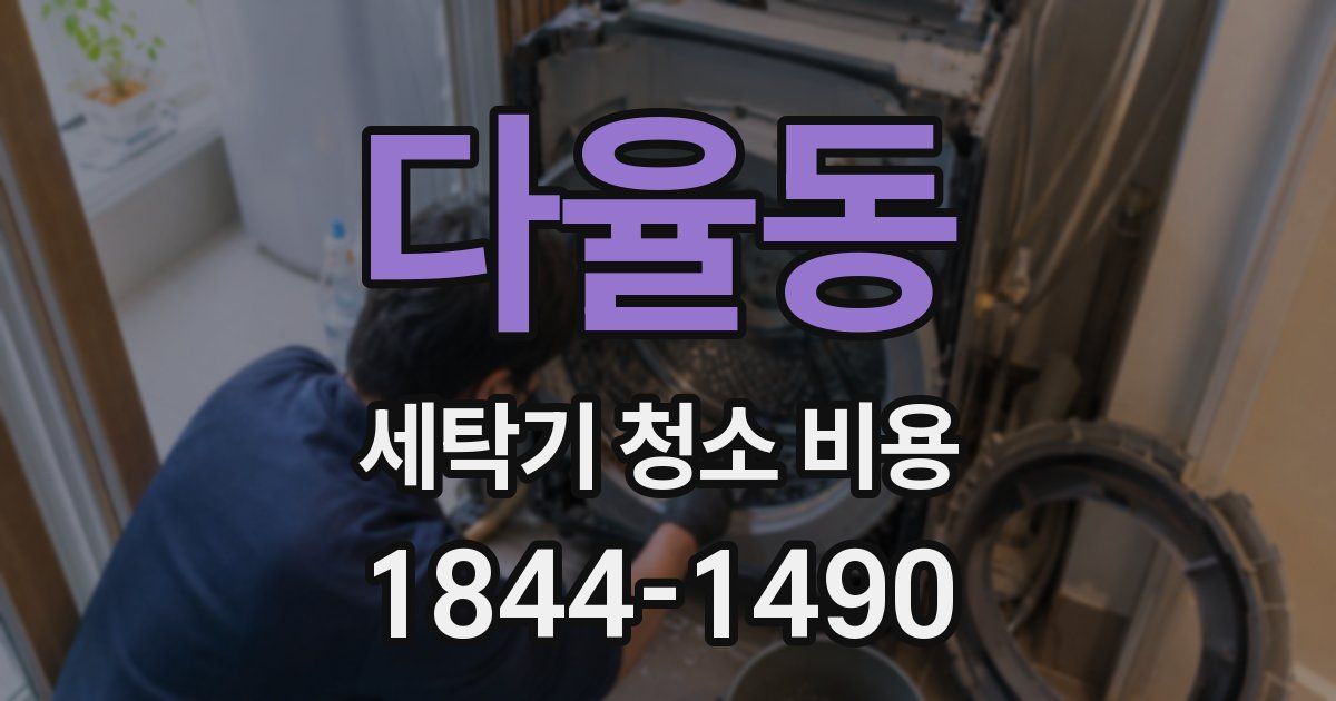 다율동 세탁기 청소 비용