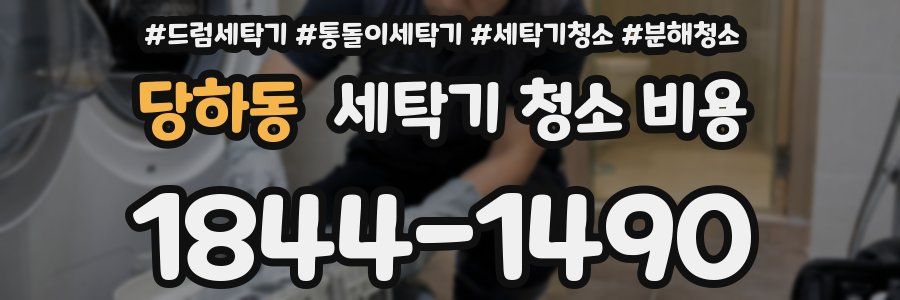 당하동 세탁기 청소 비용