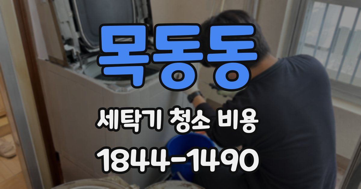 목동동 세탁기 청소 비용