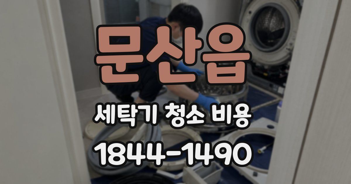 문산읍 세탁기 청소 비용