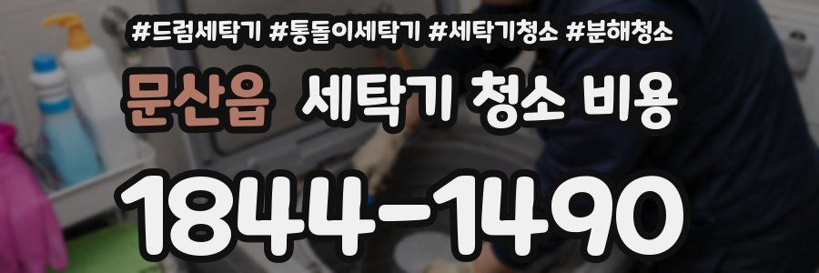 문산읍 세탁기 청소 비용