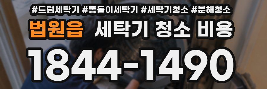 법원읍 세탁기 청소 비용