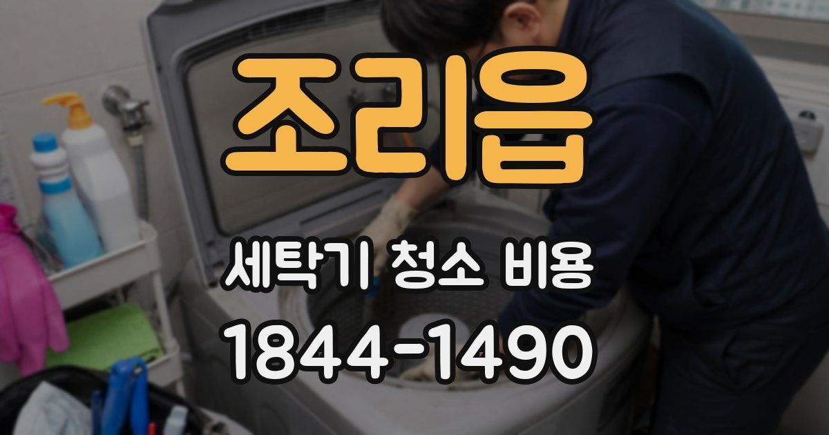조리읍 세탁기 청소 비용