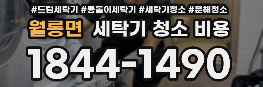 월롱면 세탁기 청소 비용