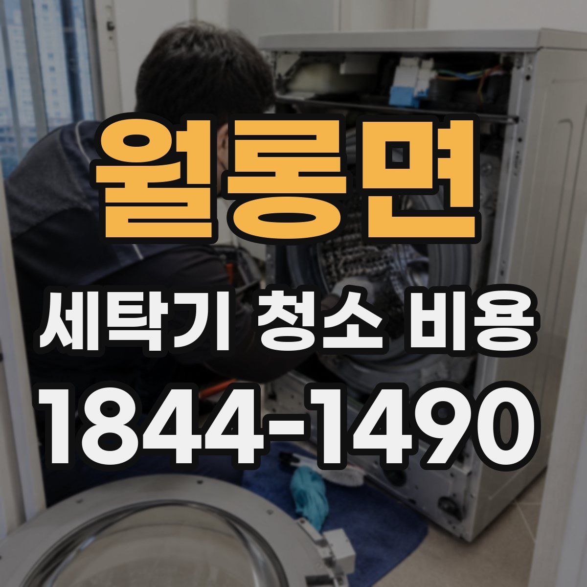 월롱면 세탁기 청소 비용