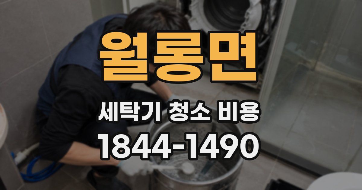 월롱면 세탁기 청소 비용