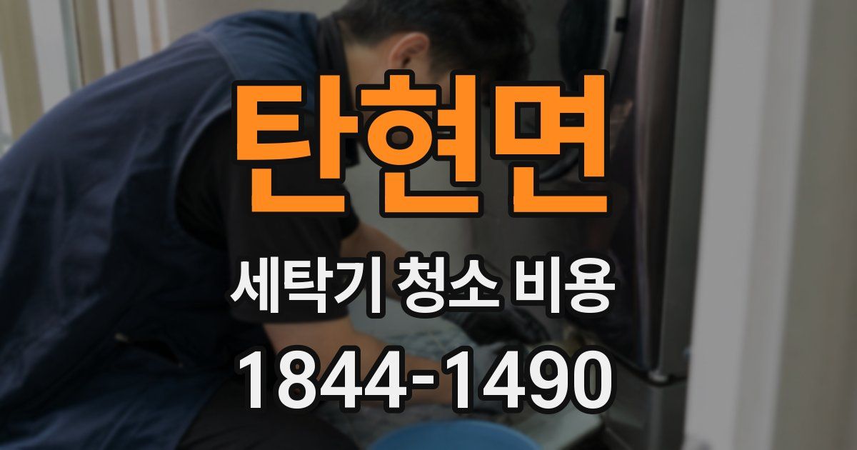 탄현면 세탁기 청소 비용