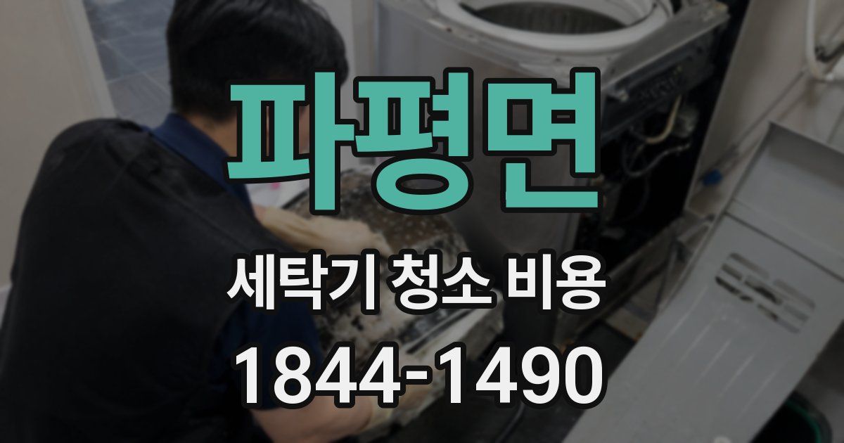 파평면 세탁기 청소 비용