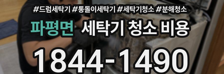 파평면 세탁기 청소 비용