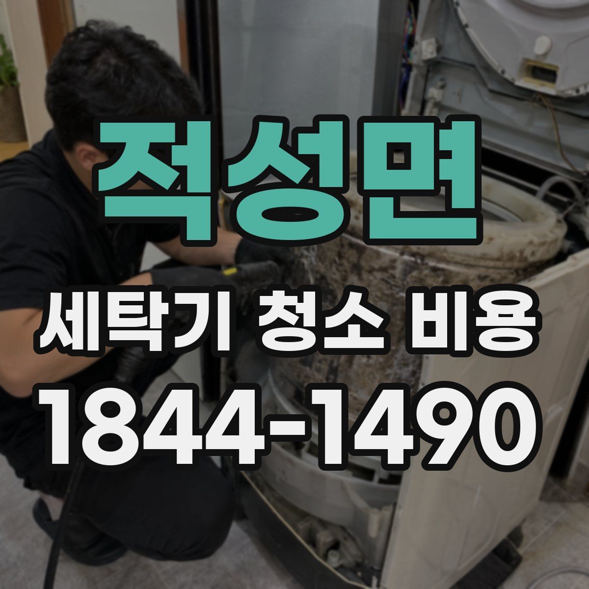 적성면 세탁기 청소 비용