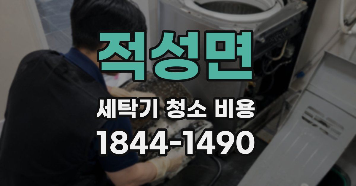 적성면 세탁기 청소 비용