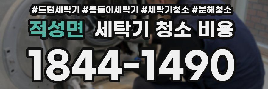 적성면 세탁기 청소 비용